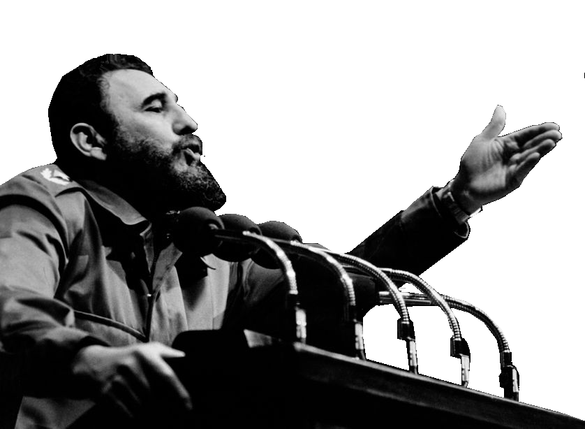 Fidel